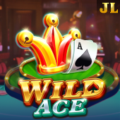 Wild Ace slot on winph vip login